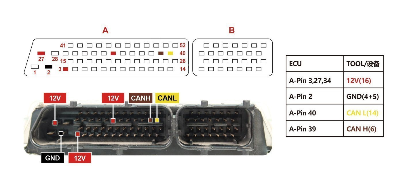 Schemat złącza — 8TDW PINOUT
