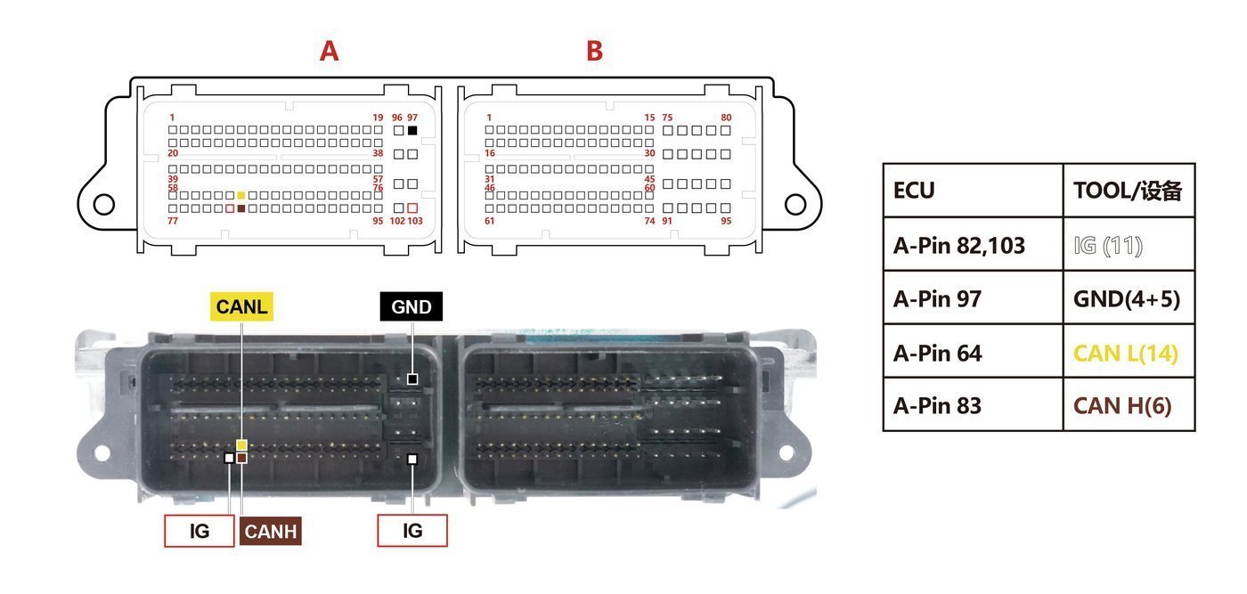 Schemat złącza — MD1CS005 LOCKED BENCH