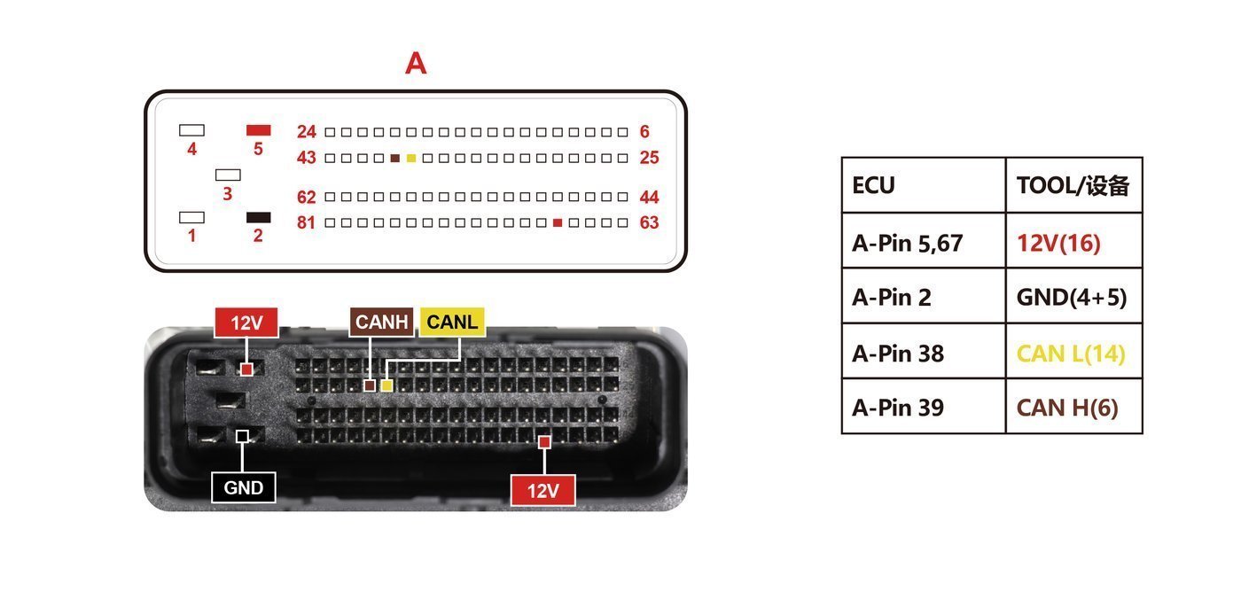 Schemat złącza — MT21 PINOUT
