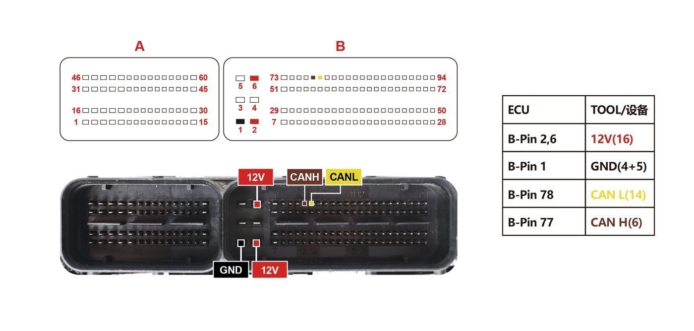 Schemat złącza — SIM2K341 TCM PINOUT